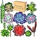 Creative Side Artificial Succulent Plants - 11 Soft Realistic Lifelike - Colorful Fake Succulent Plants Arrangement, Mini Faux Succulents, Large Succulents Unpotted Plant For Planters And Indoor Decor