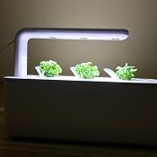 Click & grow smart herb garden Click & grow smart herb garden