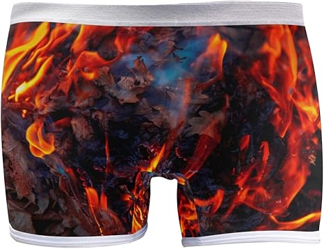 Womens Underwear Boyshort Panties Special Fire Danger Flame Concept