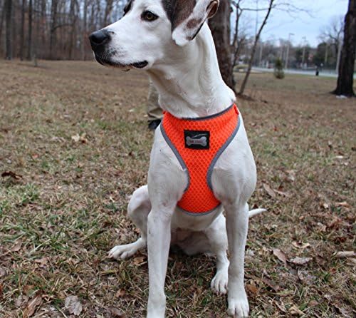 Reflective Adjustable Soft Mesh Pet Dog Harness With Leash