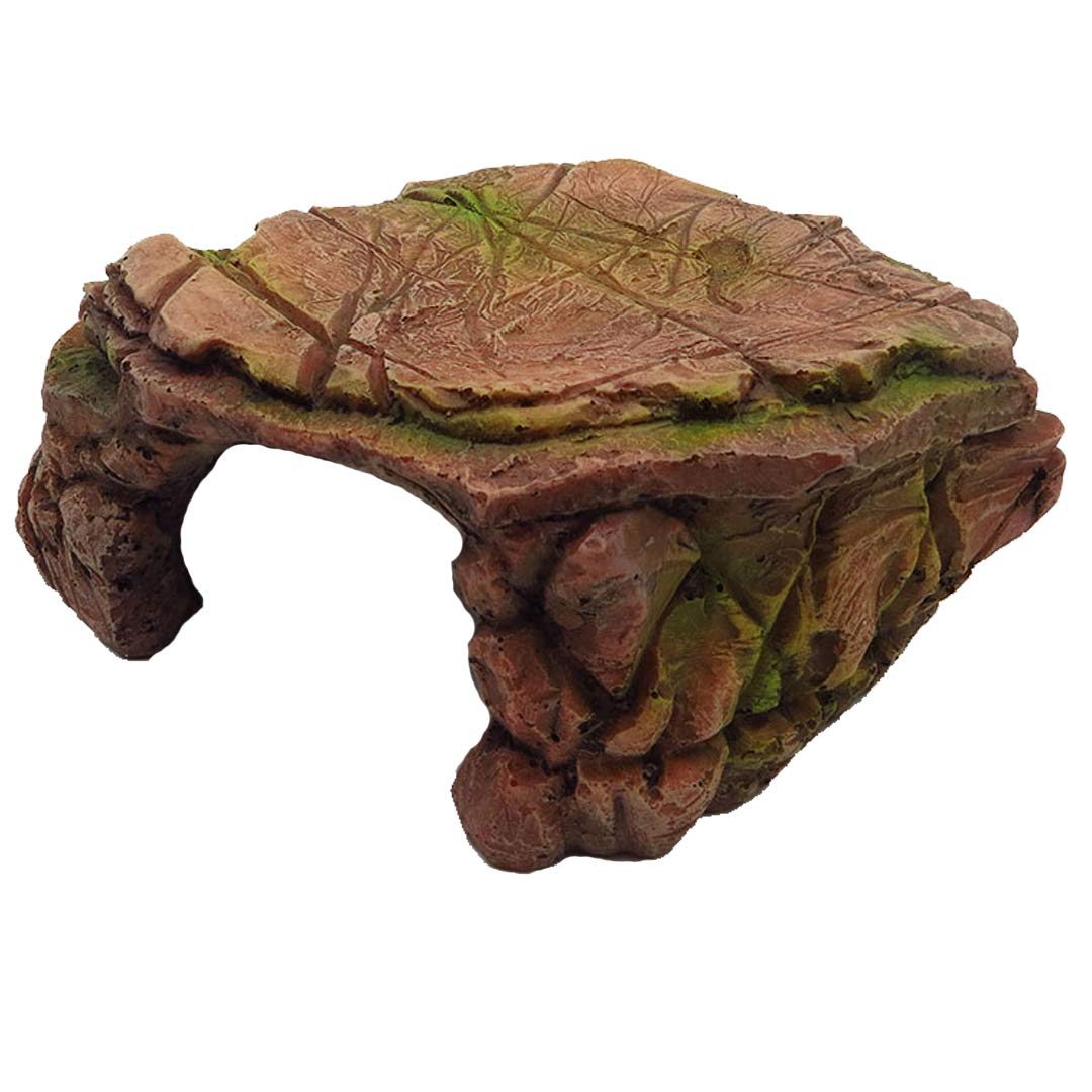 Turtle Platform Rectangular Aquarium Fish Tank Adjustable