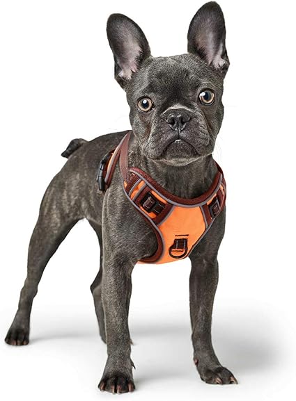 brilliant k9 harness amazon
