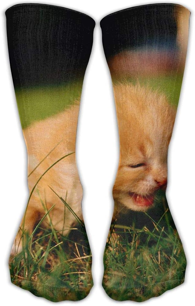 YUANSHAN Socks Cute Cats On Grass Women & Men Socks Soccer Sock Sport Tube Stockings Length 11.8Inch
