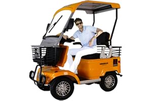 DIMHLCDZA 2 Passenger Electric Golf Cart Passenger Cruiser UTV&with Extra Large Capacity Storage Trunk&Portable Electric Golf Cart,50-Mile Range and a top Speed of 15MPH