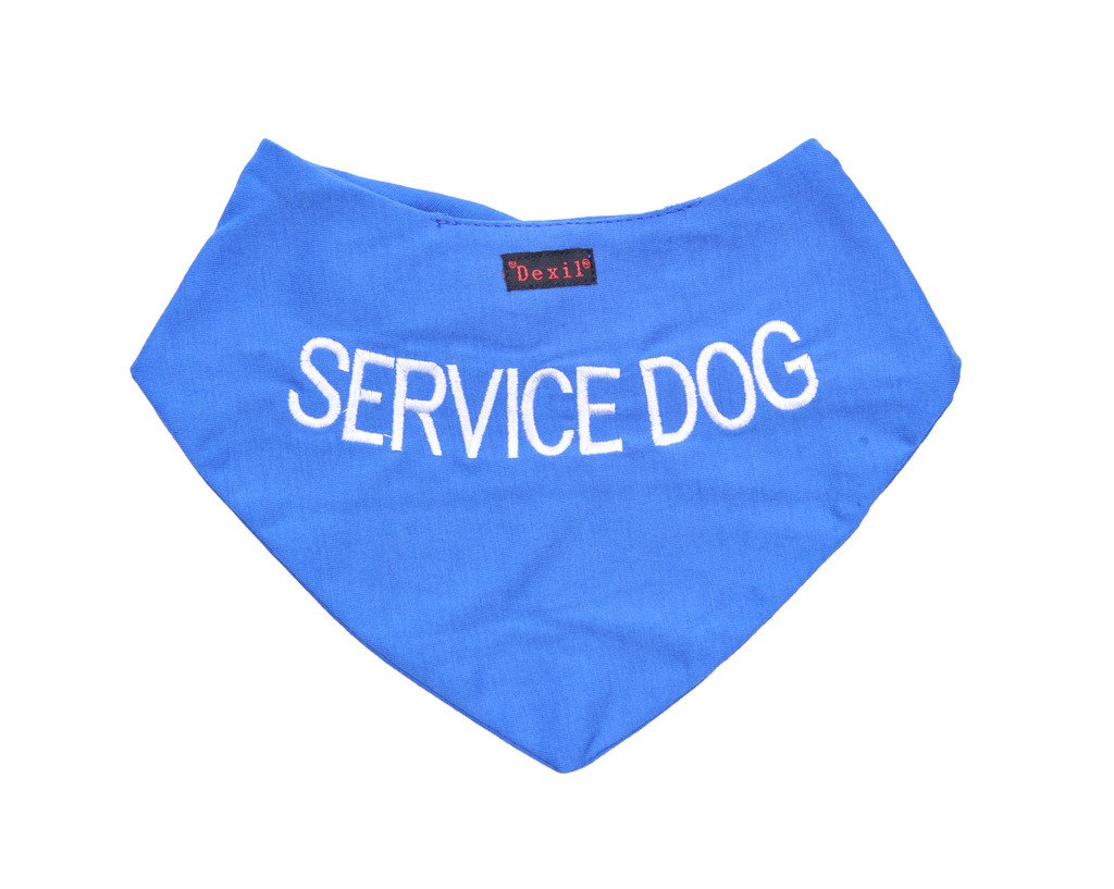 Dexil SERVICE DOG Blue Dog Bandana Quality Personalised Embroidered Message. Neck Scarf Fashion Accessory. PREVENTS Accidents By Warning Others Of Your Dog In Advance