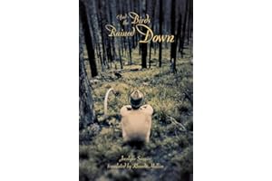 And the Birds Rained Down