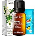Gya Labs Myrtle Essential Oil for Diffuser - 0.34 Fl Oz - 100% Pure Natural Myrtle Oil for Skin, Hair, Aromatherapy & Candles Making - Fresh Sweet & Camphorous Scent