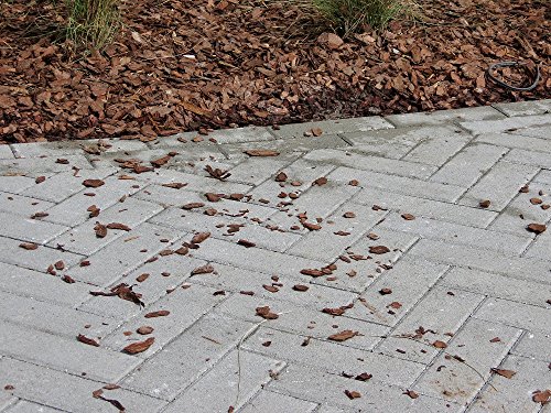 BLACK DIAMOND COATINGS PRO LANDSCAPE SERIES Mulch Binder (5 Gallon, Red)