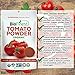 Biofinest Tomato Powder -100% Pure Antioxidants Superfood - USDA Certified Organic Kosher Vegan Raw Non-GMO - Boost Digestion Detox Lower Hypertension - for Smoothie Beverage (4 oz Resealable Bag)