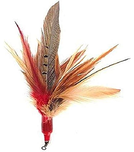 best fly rod for tail water trout fishing Fall Fishing Festival - Fly fishing the Cumberland tailwater