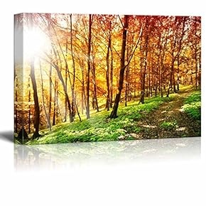 Canvas Prints Wall Art - Beautiful Scenery of Sun Ray in The Forest in Autumn | Modern Wall Decor/Home Art Stretched Gallery Canvas Wraps Giclee Print & Ready to Hang - 12" x 18"