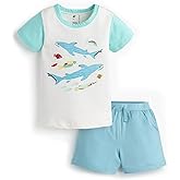 Monica + Andy Short Sleeve T Shirt + Short Set, 100% Organic Clothes for Boys, Sizes for Kids, Toddler & Baby