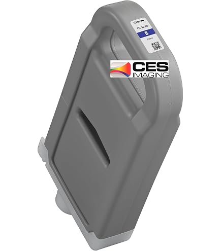 Amazon.com: Canon PFI-1700MBK 700ml Matte Black in Retail Package