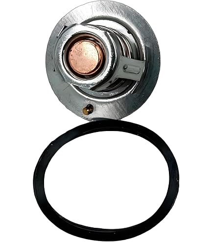 Amazon.com: FridayParts Thermostat 1273091C1 Compatible for CASE