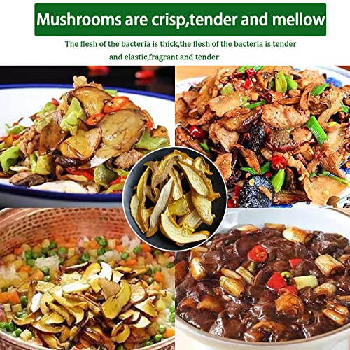 Yan Hou Tang Dried Porcini Mushrooms Wild Boletus 4 oz 112g Mycelium Spawn Spores Pine Bolete White Mushroom King