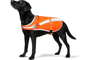 Reflective Dog Hunting Vest – Blaze Orange Safety Vest with Removable Bell, Waterproof and Lightweight (L)
