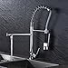 Rozin Chrome Finish Single Hole Spring Kitchen Sink Faucet LED Light Spray Mixer Tap