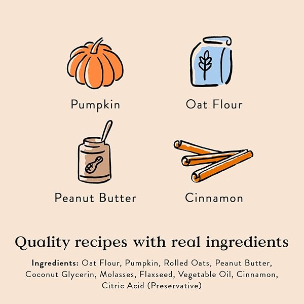 BOCCE’S BAKERY PUMPK’N SPICE TREATS FOR DOGS, WHEAT-FREE EVERYDAY DOG TREATS, MADE WITH REAL INGREDIENTS, BAKED IN THE USA, ALL-NATURAL SOFT & CHEWY COOKIES, PUMPKIN, PEANUT BUTTER, & CINNAMON, 6 OZ