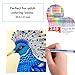 Caliart 240 Gel Pens Set for Adult Coloring Books Doodling Drawing Scrapbooking - 120 Coloring Pens Plus 120 Unique Refills