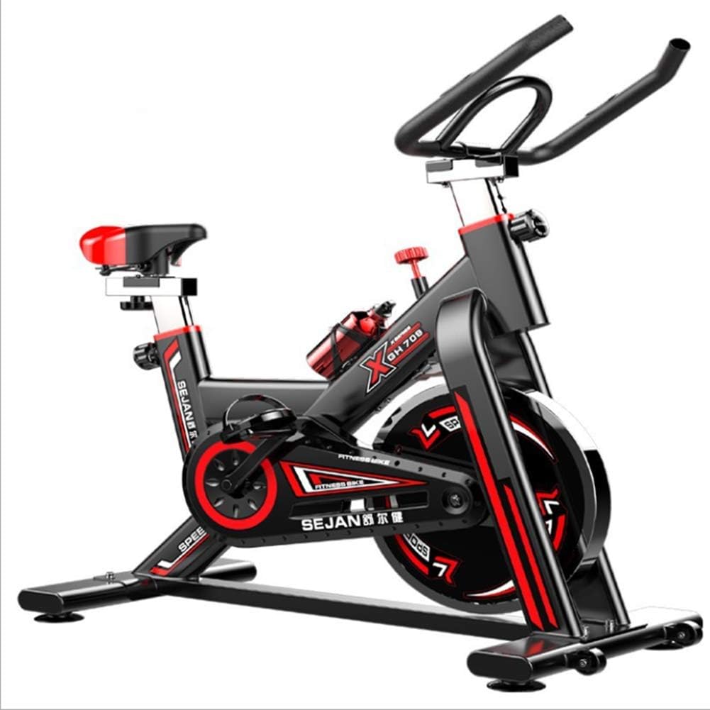 GOLDEN MANGO Indoor Spinning Bikes, Silent Home Bike Sports Fitness Equipment.