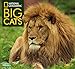 National Geographic Big Cats 2017 Wall Calendar