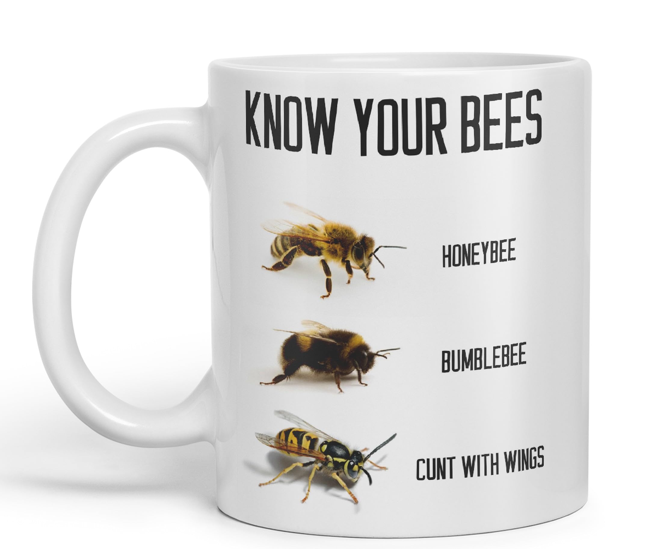 Vixar Know Your Bees Rude Funny Ceramic 330 ml Coloured Mug Cup Gift Tea Coffee Christmas Office Home Joke (White)