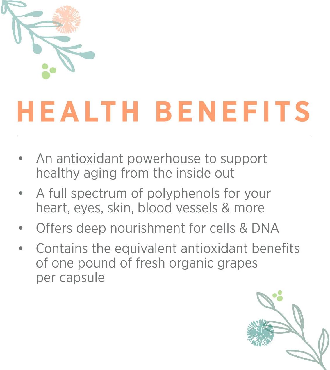Pure Synergy SuperPure Grape Seed Extract (60 Capsules) w/ Proanthocyanidins for Antioxidant Support: Health & Personal Care