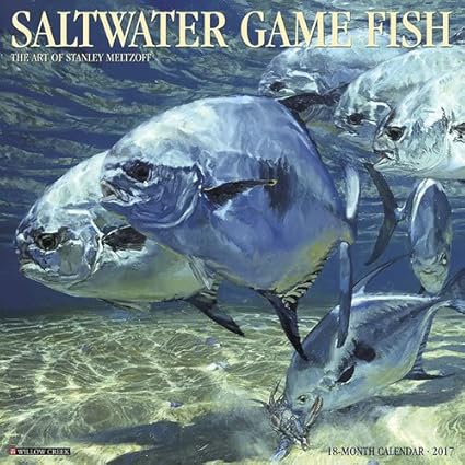Amazon カレンダー17海水魚ゲーム壁12 X 12 手帳 カレンダー 文房具 オフィス用品