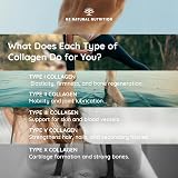 N2 Natural Nutrition Multi Collagen 1650mg 5 Types Bovine Marine view 5