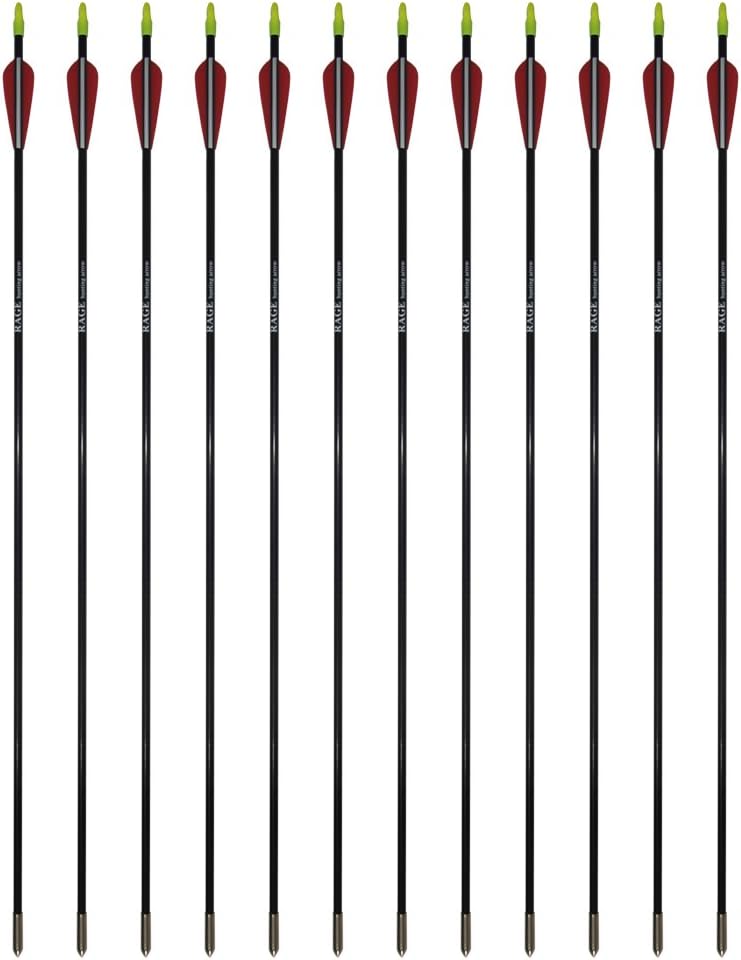 PA 25" 31" Fiberglass Arrows Children Arrows Archery Target Shooting Hunting Practice Arrows for Recurve Bow : Sports & Outdoors