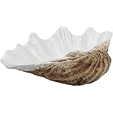 ALIWINER Medium Pearl White Weathering Scalloped Clam Shell Bowl Sea Shell Decor for Nautical Beach House,Coastal Decor Gift of Housewarming and Wedding Party