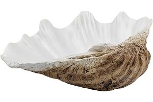 ALIWINER Medium Pearl White Weathering Scalloped Clam Shell Bowl Sea Shell Decor for Nautical Beach House,Coastal Decor Gift of Housewarming and Wedding Party
