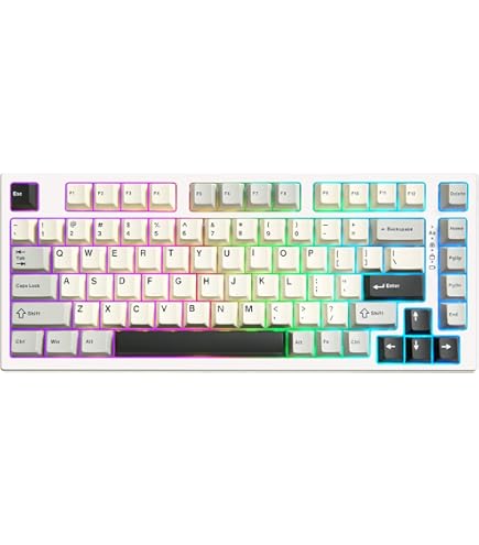 Amazon.com: ZENT75-HE Aluminum 75% Wired Magnetic Keyboard