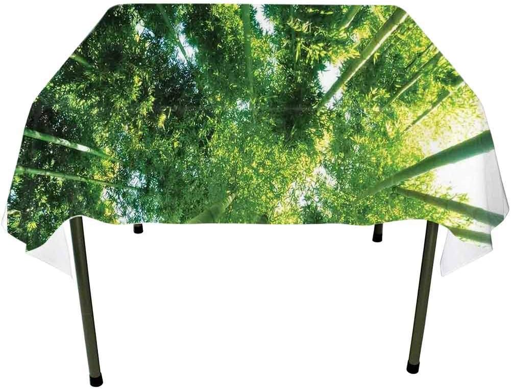 Square Tablecloth,Dining Tablecloth 60 x 60 Inch Bamboo,Low Angle View of Bamboo Tree Tops Zen Tranquil Lands Jungle Meditation Spa Theme,Green