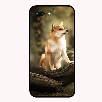 The Dog Breed Thats Most Compatible With Your Zodiac Sign