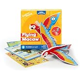 Little Passports: Craft Around The World &ndash; Flying Macaw | DIY Flapping Mobile &amp; Brazilian Rainforest Craft for Ages 6+