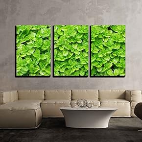 3 Piece Canvas Wall Art - Green Leaf Pattern Stock - Modern Home Art Stretched and Framed Ready to Hang - 16"x24"x3 Panels