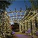 Esky Solar Fairy String Lights, OxyLED 55ft 100 LED Solar Led String Light, Outdoor Solar Powered Decoration Lights for Garden, Patio, Yard, Home, Wedding, Party, Christmas