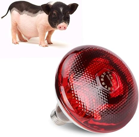 Calentador de gallinero, lámpara de Calor Bombilla de Vidrio Duro Rojo