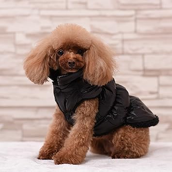 Rantow Herbst Winter Haustier Hund Katze kleidet warmen unten Mantel, 7 Farben klassisches Haustier Outwear Daunenjacke für T