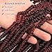 Dansama 6 Packs GoGo Curl Crochet Braids for Water Wave Crochet Synthetic Hair Extensions (12inch (Pack of 4), TBUG)