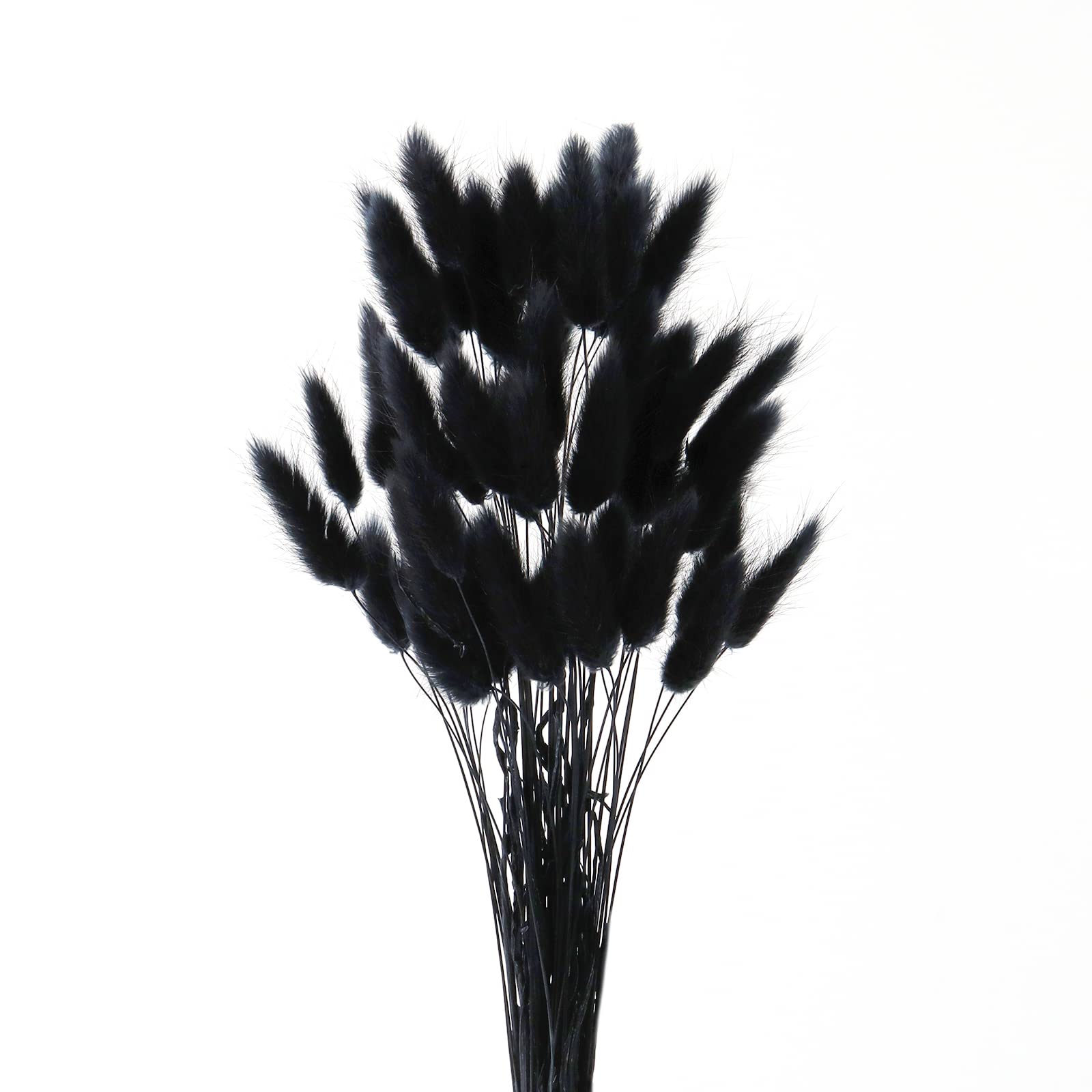 FENGCHUANG 17’’ Natural Bunny Tails Dried Flowers 50 Pcs Dried Lagurus Ovatus, Dried Pampas Grass Decor for Farmhouse Flower Arrangements Wedding Home Craft Boho Party Decorations (Black)