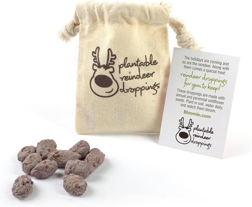 Reindeer Dropping Seeds