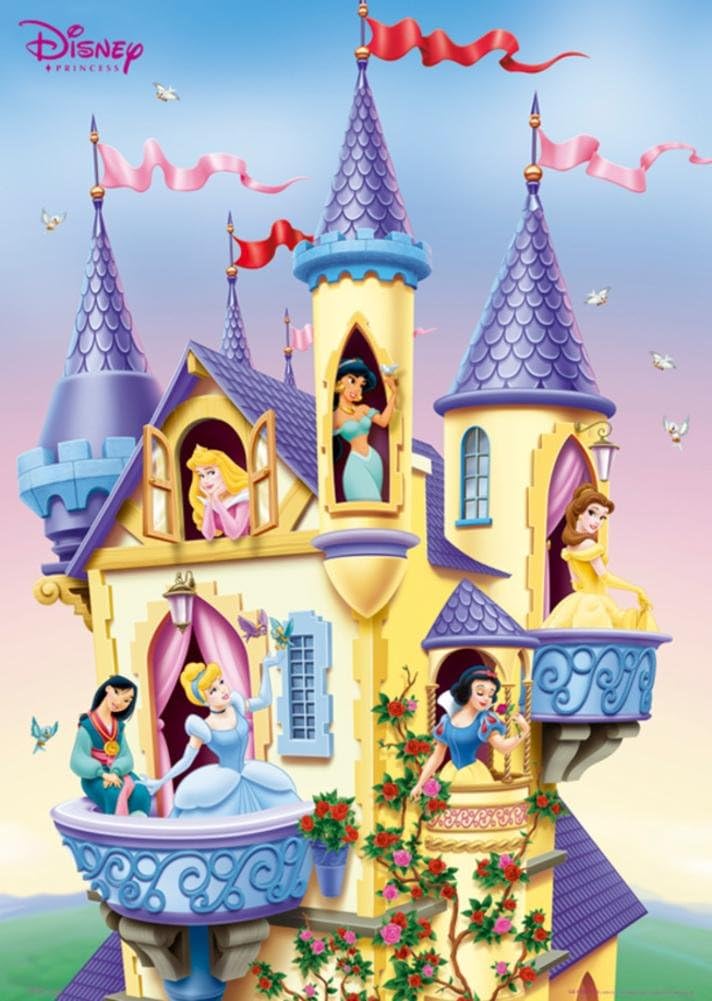 disney princess with castle