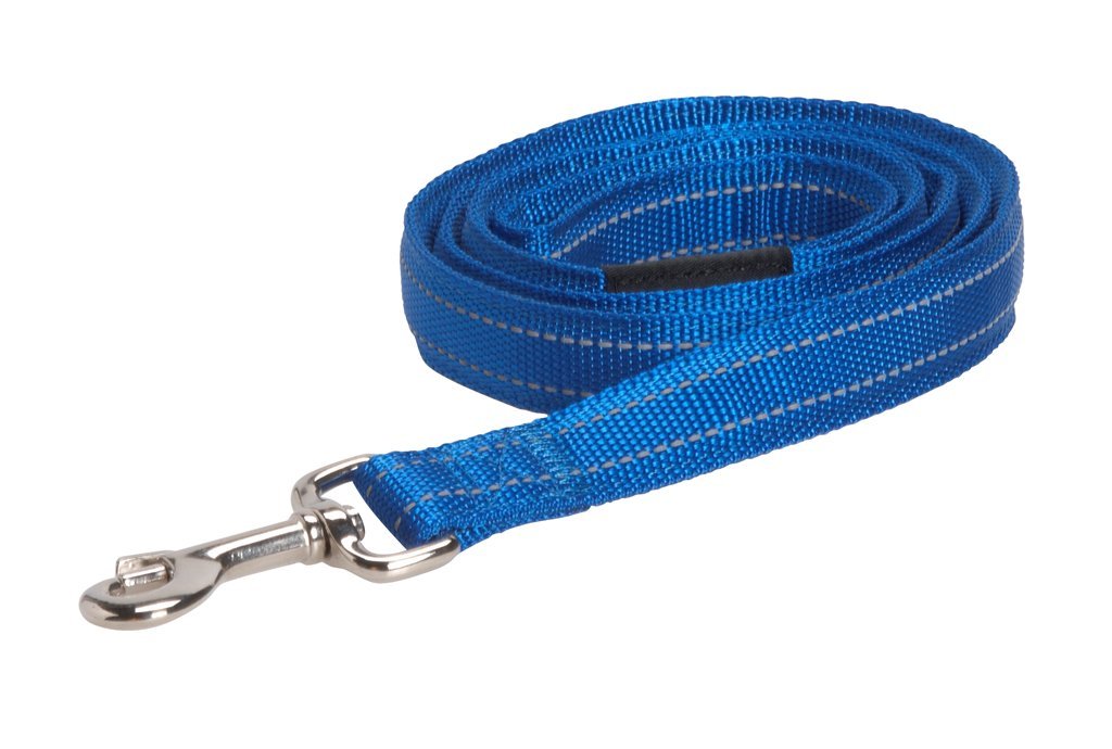 Buster Reflective Lead, Medium, Blue
