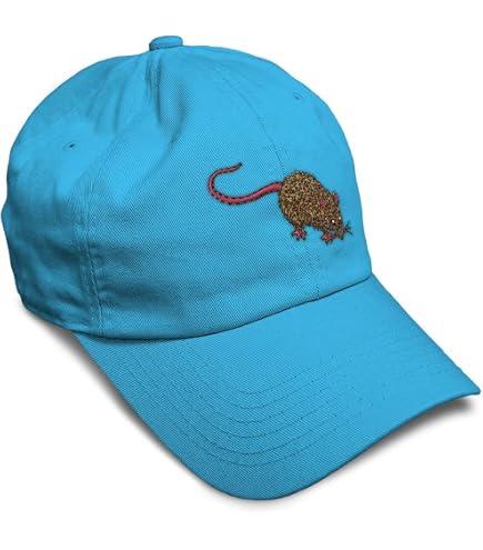 Trendy Apparel Shop Rat Embroidered Unstructured Cotton Dad Hat