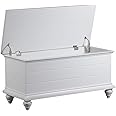 Powell Furniture Whitehurst Cedar Chest, White, 40.1/2" x 17.1/3" x 19"
