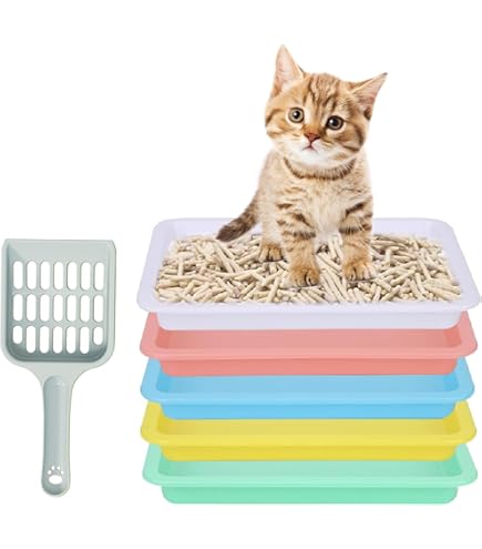Portable Litter Box Arenero Para Gatos Pcs Small Litter Box Set