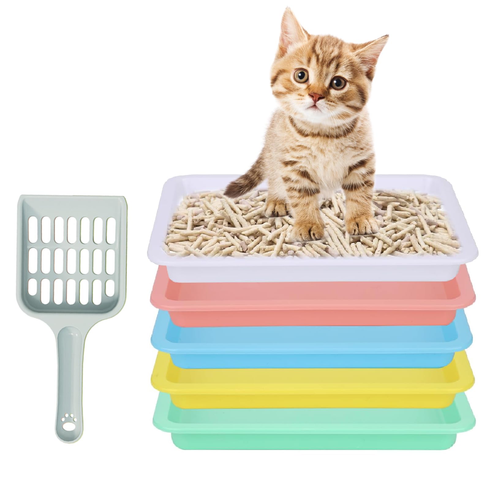 Photo 1 of 5pcs Kitten ter Box, Small Cat Litter Box with Scooper, Small Litter Pan Low Entry Shallow Plastic Litter Tray Portable Cat Waste Tray Open Travel Kitten Boxes for Small Pet Rabbit Newborn Cat