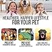 Dog Toothpaste and Toothbrush Set [REMOVES FOOD DEBRIS] Double Sided with Long Curved Handle [SUPER EASY CLEANING] - Best Soft Silicone Pet Toothbrush for Cats And Dogs [EXPANDABLE FINGER ENTRY] - Sma